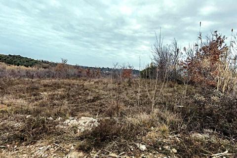 Istra, Buje okolica, poljoprivredno zemlji&scaron;te