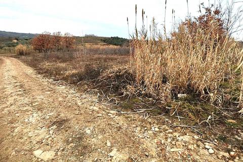 Istra, Buje okolica, poljoprivredno zemlji&scaron;te