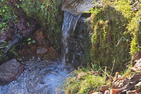 Teren na osami - Gorski kotar - 5000 m2