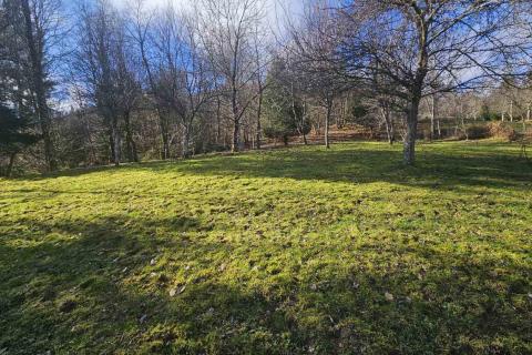 Teren na osami - Gorski kotar - 5000 m2