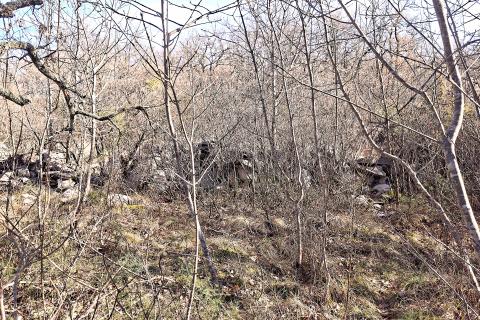 Istra, Momjan, &Scaron;trika-&scaron;uma