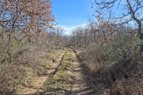 Istra, Momjan-&scaron;uma