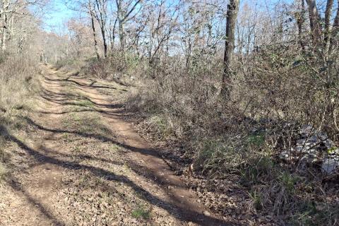 Istra, Momjan-&scaron;uma