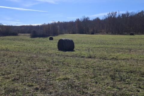 Istra, Kremenje, oranica i &scaron;uma