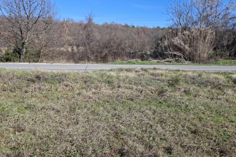 Istra, Kremenje, oranica i &scaron;uma