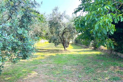 Building plot Umag, 592m2