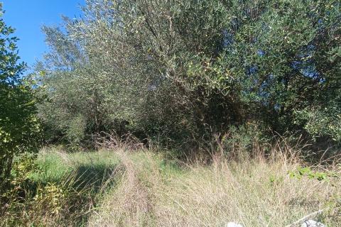 Non-structural plot Krunčići, Sveti Lovreč, 240m2