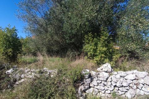 Non-structural plot Krunčići, Sveti Lovreč, 240m2