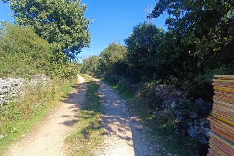 Non-structural plot Krunčići, Sveti Lovreč, 240m2