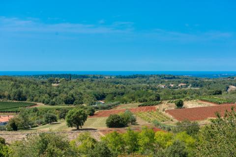 Casa Vižinada, 419m2