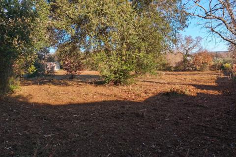 Rovinj, legalizirana prizemnica 31 m2 na 2300 m2 zemlji&scaron;ta