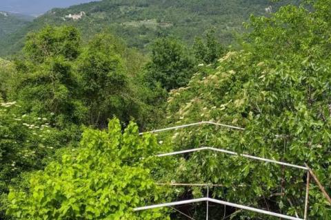 Huis Sovinjak, Buzet, 165,50m2