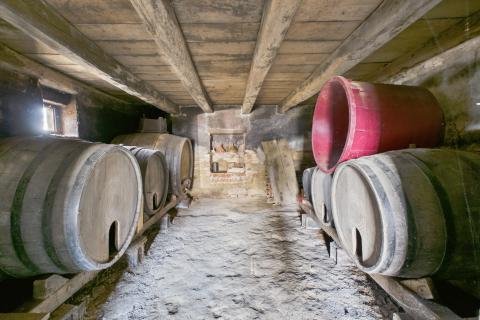 Bedenica, Sv. Ivan Zelina, kuća sa &scaron;talom i vinskim podrumom