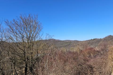 Bouwgrond Brdce, Matulji, 712m2