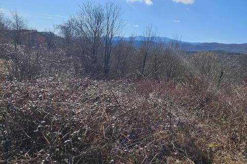 Bouwgrond Brdce, Matulji, 712m2