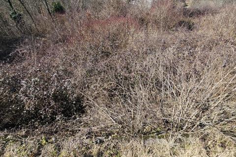 Bouwgrond Brdce, Matulji, 712m2