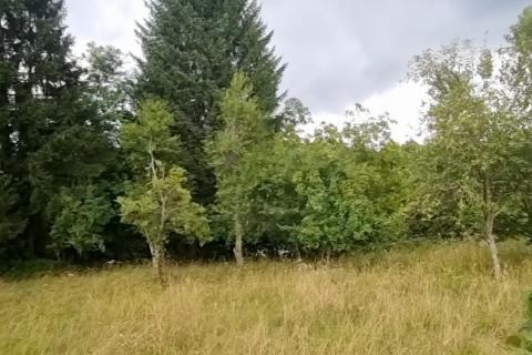 Bouwgrond Vrbovsko, 1.500m2