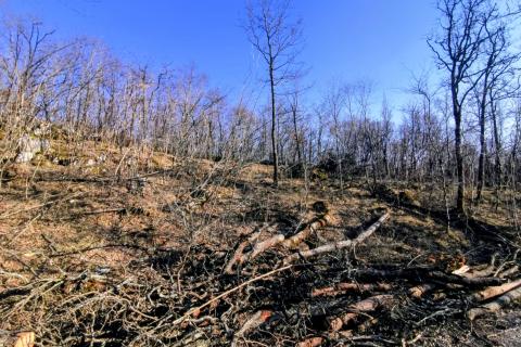 Terreno non edificabile Lipa, Matulji, 1.964m2