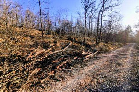 Terreno non edificabile Lipa, Matulji, 1.964m2