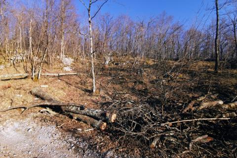 Terreno non edificabile Lipa, Matulji, 1.964m2