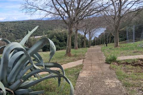 Flat/Appartement Duga Uvala, Marčana, 32,81m2