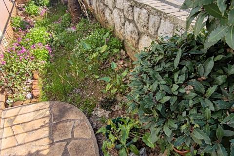 Rijeka, Zamet - dvije stambene jedinice s okućnicom