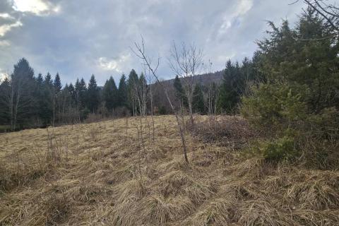 Bouwgrond Vujnovići, Vrbovsko, 1.300m2