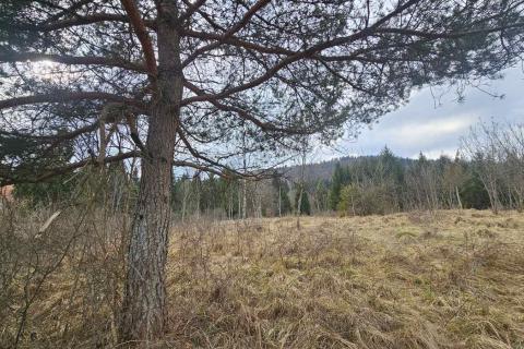 Bouwgrond Vujnovići, Vrbovsko, 1.300m2