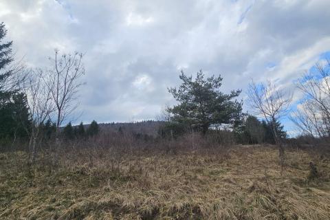 Bouwgrond Vujnovići, Vrbovsko, 1.300m2