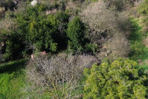 Bouwgrond Buje, 5.762m2