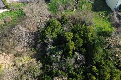 Bouwgrond Buje, 5.762m2