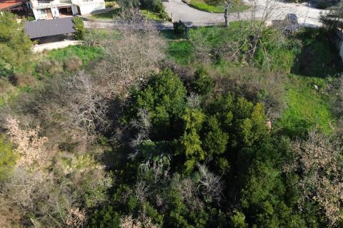 Bouwgrond Buje, 5.762m2