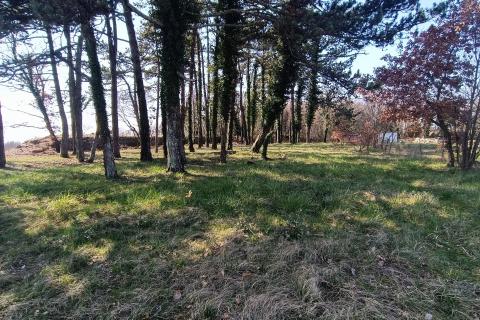 Building plot Žminj, 1.707m2