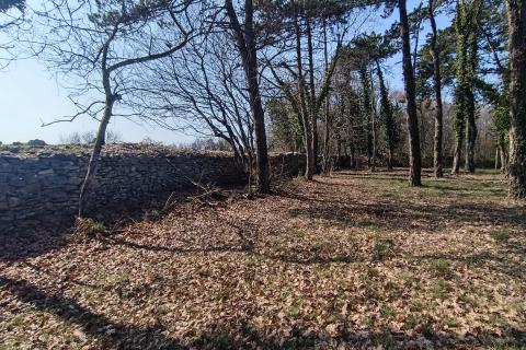 Building plot Žminj, 1.707m2