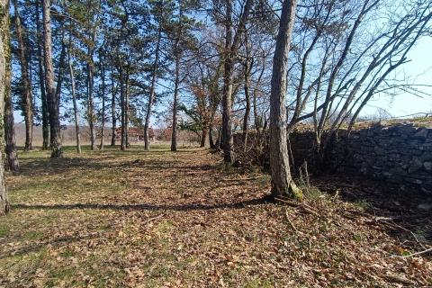 Building plot Žminj, 1.707m2