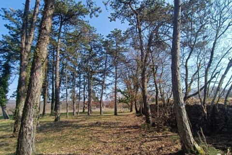 Building plot Žminj, 1.707m2