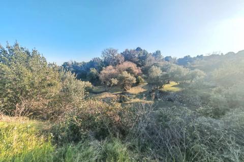 Stavbno zemlji&scaron;če Palit, Rab, 1.815m2