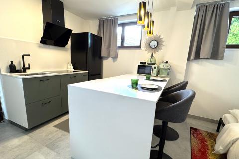 PAZIN, okolica- stan sa dvije spavaće sobe i garsonijera