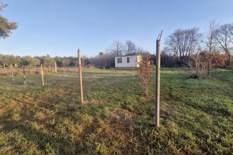 Istria, Fažana, surroundings &ndash; quiet location, land at the edge of the construction zone