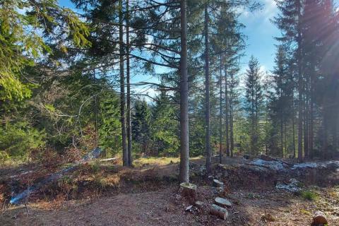 Terreno non edificabile Sunger, Mrkopalj, 5.630m2