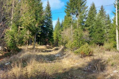 Terreno non edificabile Sunger, Mrkopalj, 5.630m2