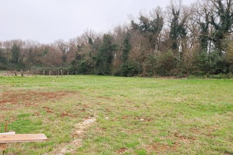 Istra, Brtonigla &ndash; Građevinsko zemlji&scaron;te 619 m&sup2;