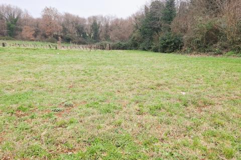 Istra, Brtonigla &ndash; Građevinsko zemlji&scaron;te 619 m&sup2;