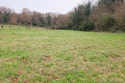 Istra, Brtonigla &ndash; Građevinsko zemlji&scaron;te 619 m&sup2;