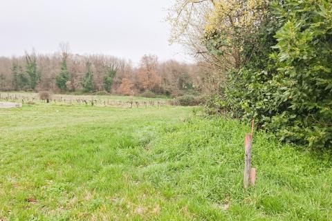 Istra, Brtonigla &ndash; Građevinsko zemlji&scaron;te 619 m&sup2;