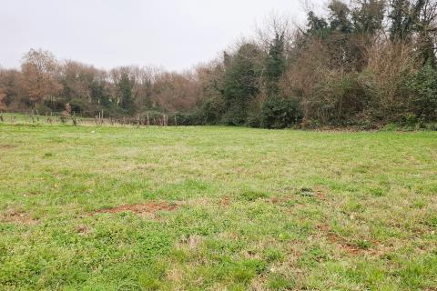 Istra, Brtonigla &ndash; Građevinsko zemlji&scaron;te 619 m&sup2;