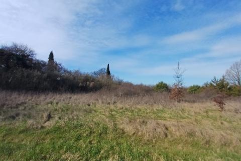 Building plot Bo&scaron;kari, Svetvinčenat, 774m2