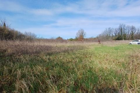 Building plot Bo&scaron;kari, Svetvinčenat, 774m2