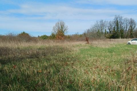 Building plot Bo&scaron;kari, Svetvinčenat, 774m2