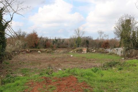 TINJAN, okolica- građevinsko zemlji&scaron;te 605 m&sup2;